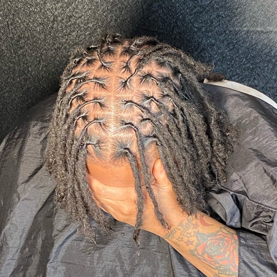 Loc Retwist